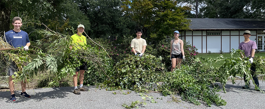 AED Members Working at the Japanese Gardens