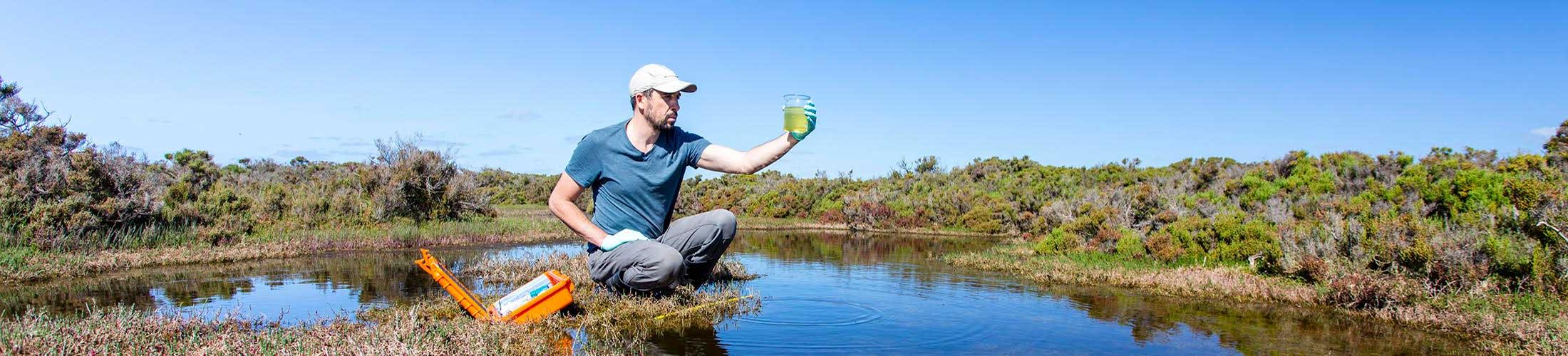 Man working with specimen sitting in water.