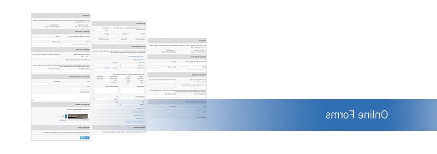 Learn more about Online Forms and different available versions