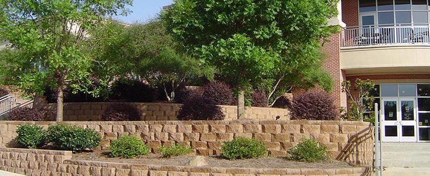 Greenery in front of the dining hall.