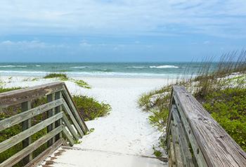 Gulf Coast Beach