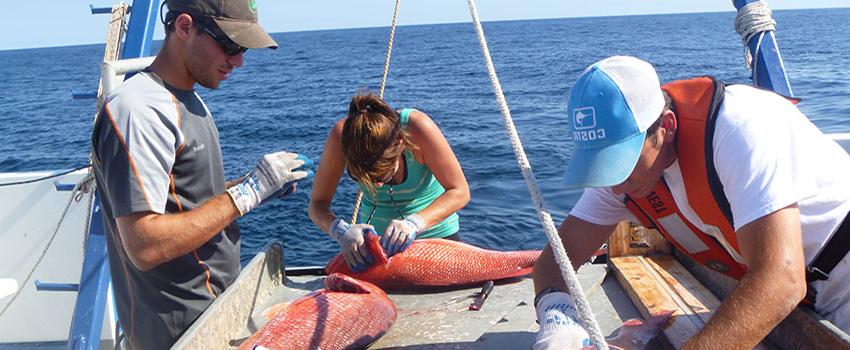 Students working on boat with fish.