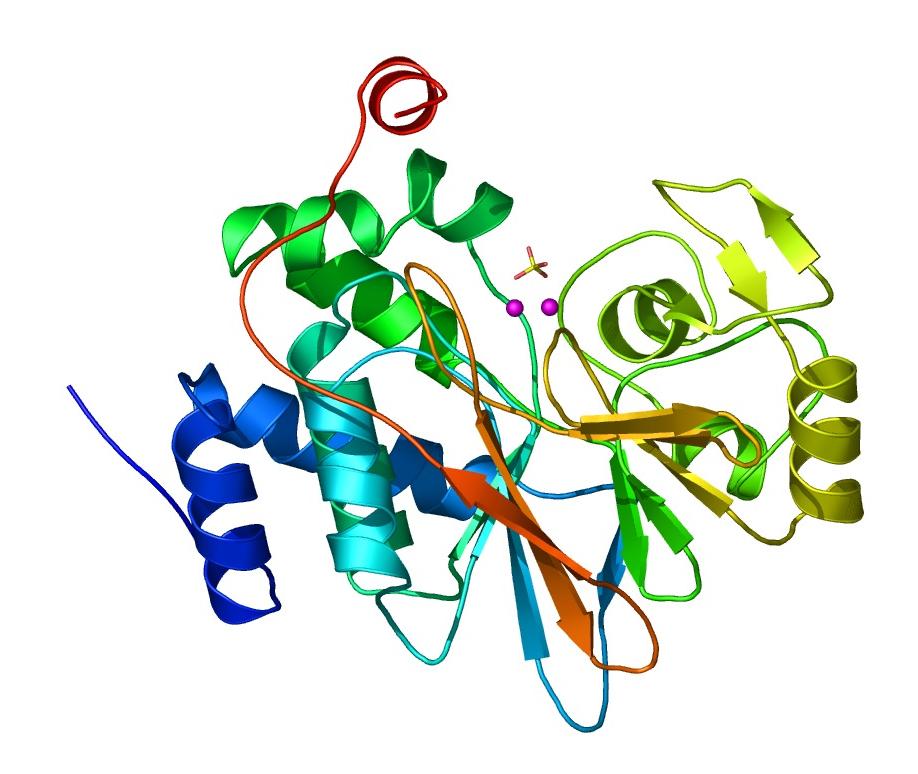 Lung Diseases