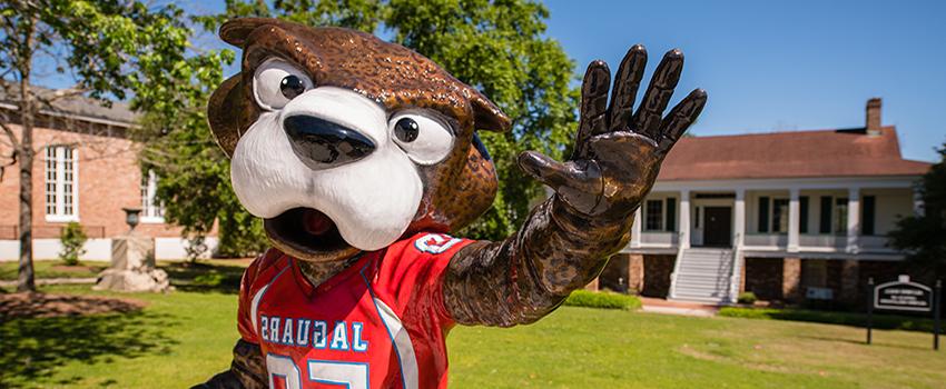 Southpaw statue on campus.