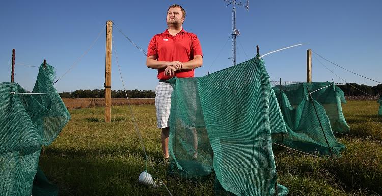 Dr. Steve Schultze, a climatologist at the University of South Alabama, talks about the crop of hops he's cultivating in Baldwin County. The green nets are a necessary protection against the afternoon sun. Schultze hopes to harvest his first hops crop next year. If successful, the plants could mean a new economic crop for coastal Alabama.