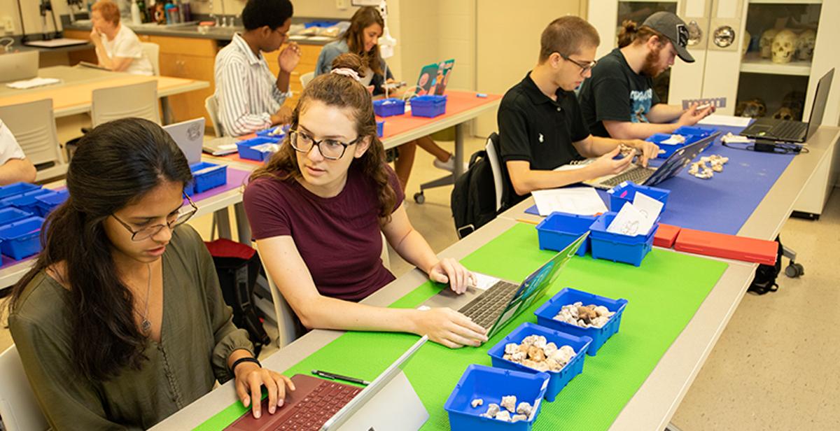 Students Hone Research Skills, Examine Skeletal Remains