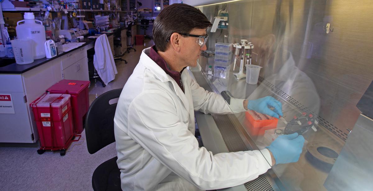 Dr. Jonathan Rayner, associate professor of microbiology and immunology, and director of the Laboratory of Infectious Diseases at the University of South Alabama College of Medicine, works in his lab. Researchers at the College of Medicine are collaborating with members of the Yale School of Public Health and its West Nile 4K Project to reconstruct a picture of how the virus has spread and adapted.