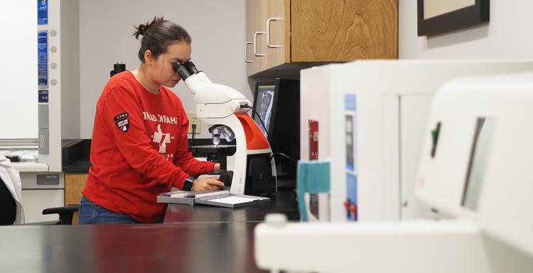 Laia Munoz works in USA Marine Sciences fisheries lab complex