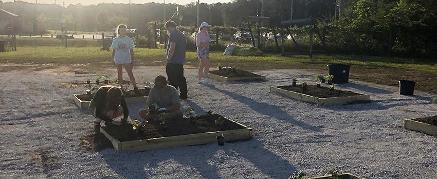 Students working in the Community Garden at South.